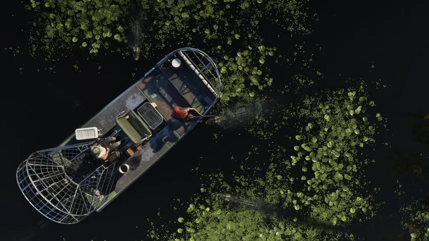 Grassrivers (Everglades)